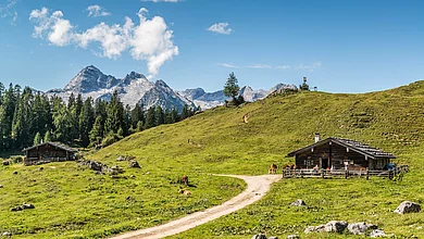 Alm, Alpen, Berge, Kallbrunnalm, Saalachtal, Salzburgerland, Österreich