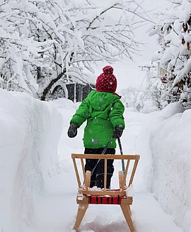 A child is pulling a sled through a snow-covered forest